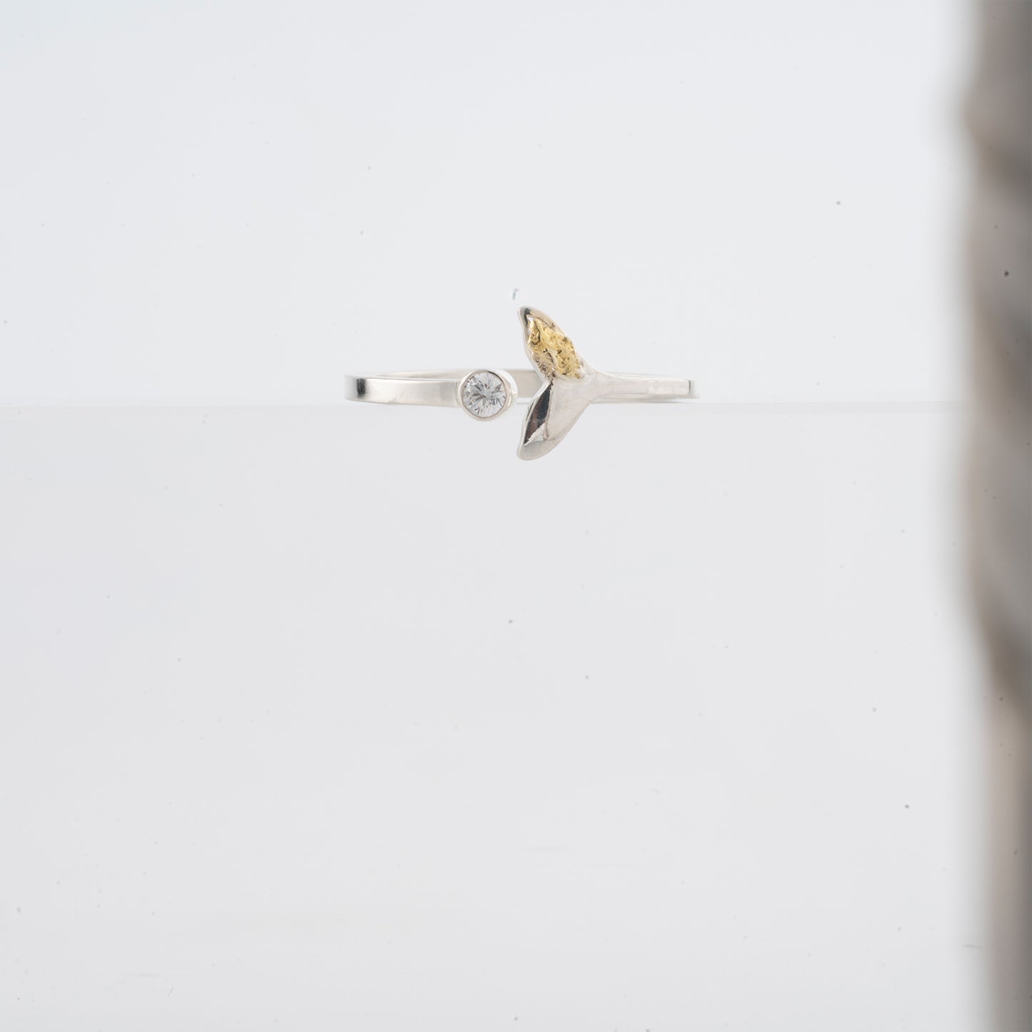 Whale tail ring 1